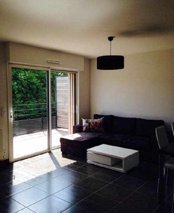 Salon +Terrasse