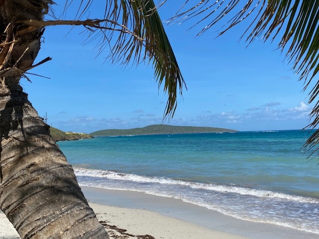 The image captures a serene beach scene framed by the fronds of a palm tree. Gentle waves lap at the sandy shore, with a distant green island visible on the horizon under a clear blue sky.