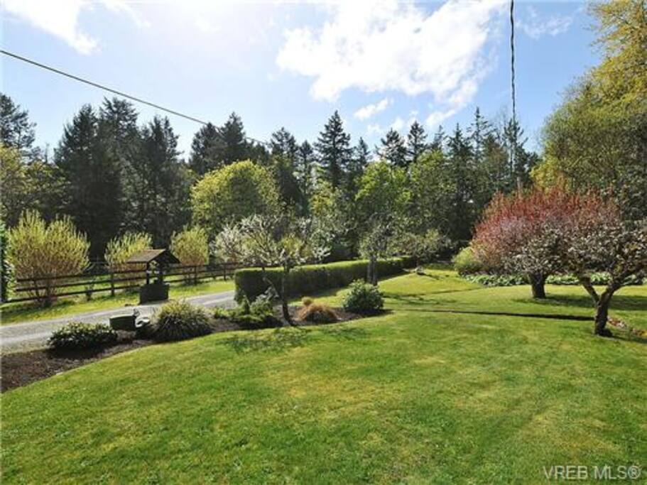 The front yard and driveway