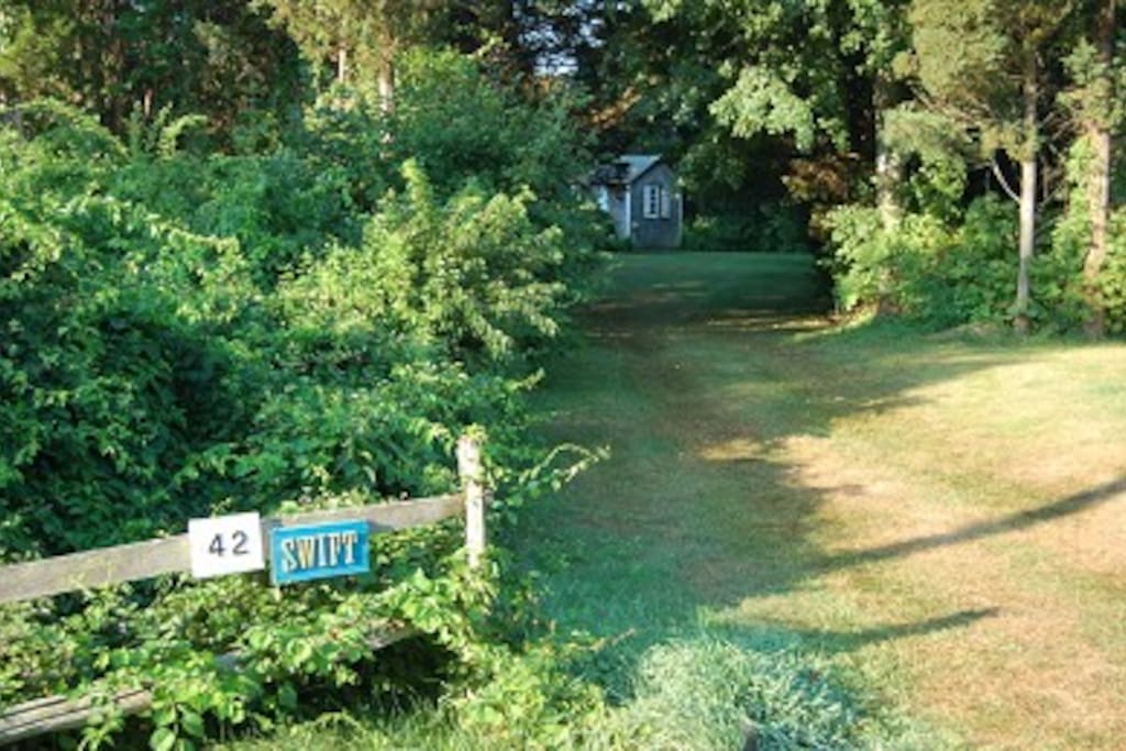 Driveway
