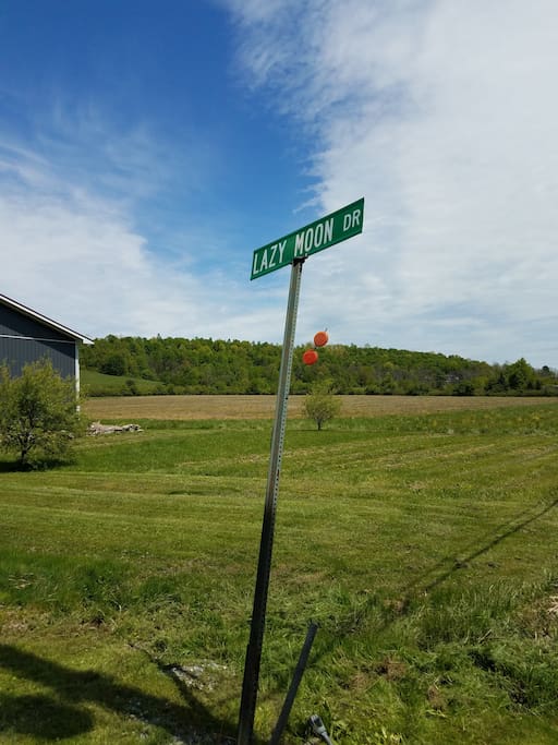 Look for Lazy Moon Drive