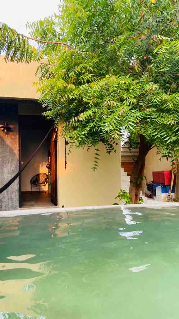 A peaceful outdoor area features a serene pool reflecting the greenery. A lush tree provides shade near the entrance to the accommodation, with a glimpse of the entrance visible in the background.