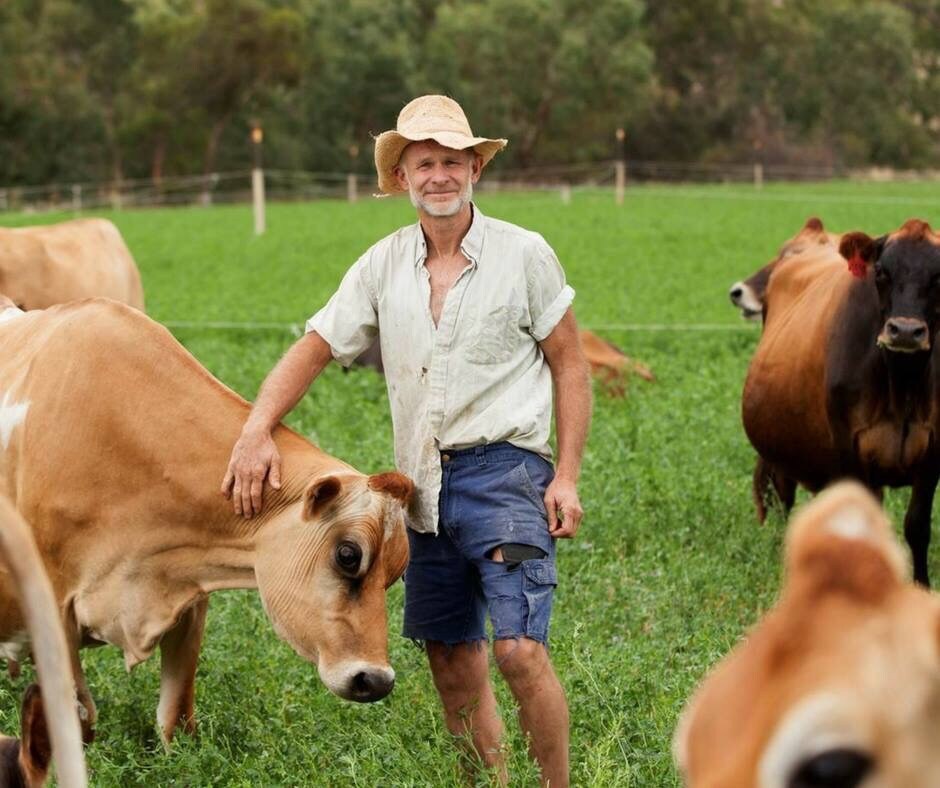 The Dairyman