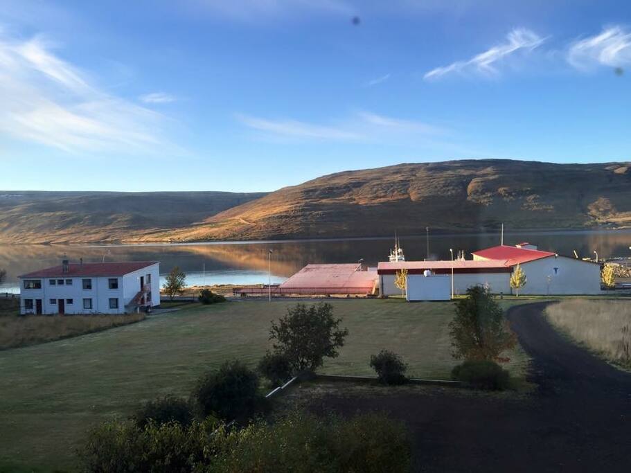 From living room window