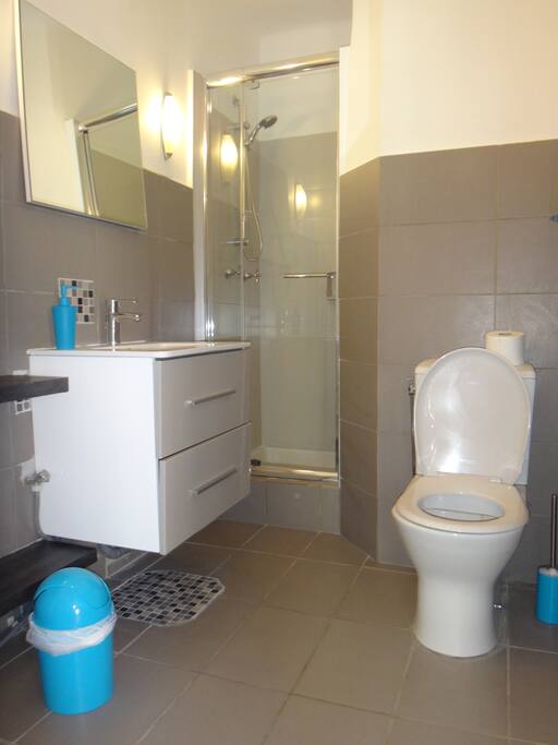 SDB spacieuse avec un lave-linge