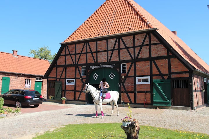 Bauernhof in der niedersächsischen Elbtalaue Wohnungen zur Miete in