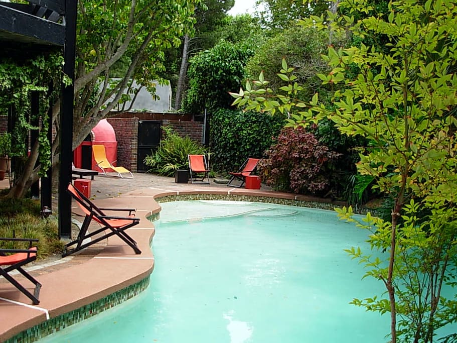 Large pool and patio
