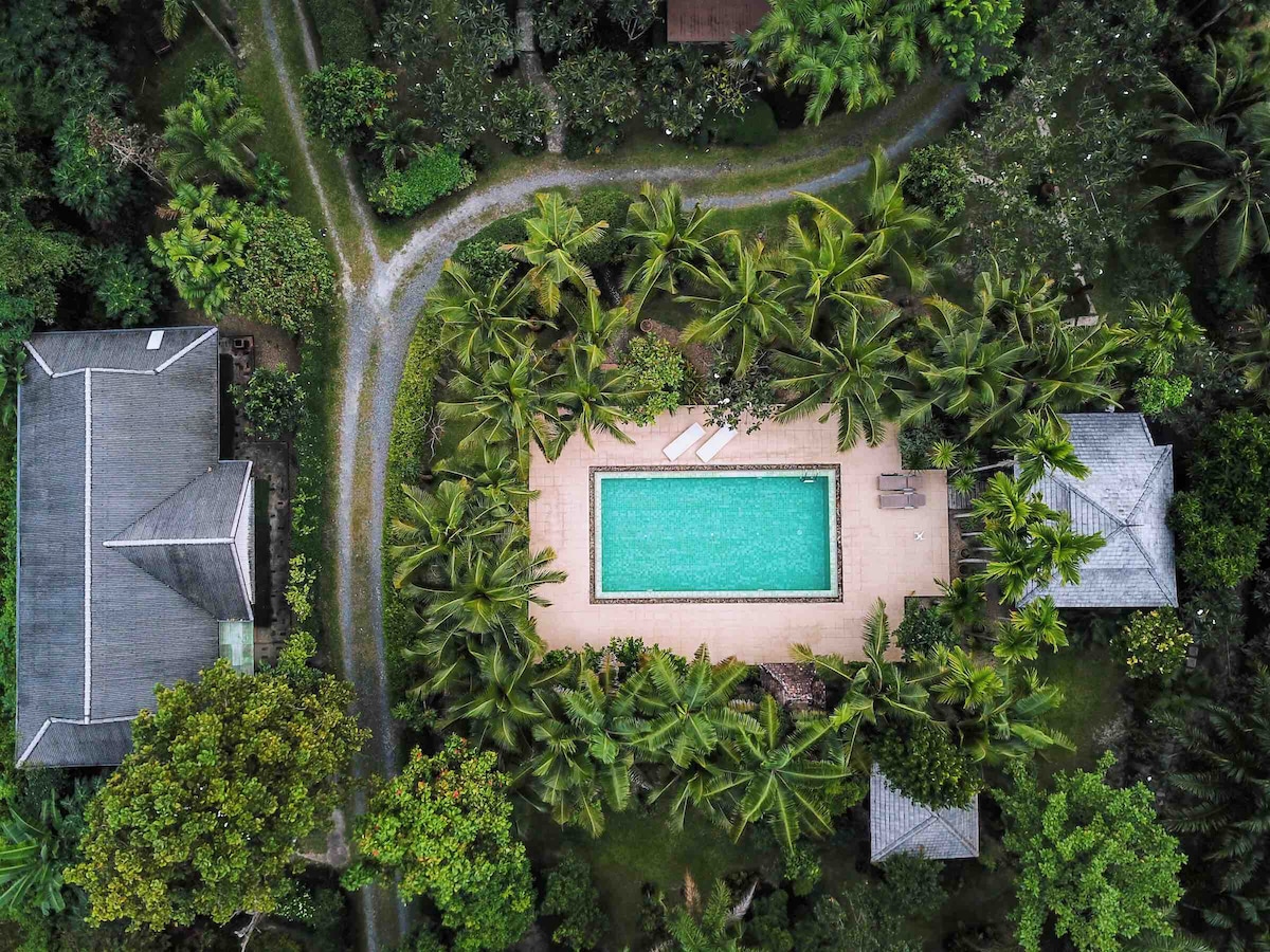 An aerial view captures the expansive saline swimming pool, framed by lush palm trees and landscaped gardens. Two villas are visible, with a winding path leading to the pool area, which is designed for relaxation and surrounded by scenic greenery.