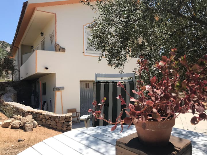 Loiri Porto San Paolo Vacation Rentals & Homes - Sardinia, Italy | Airbnb