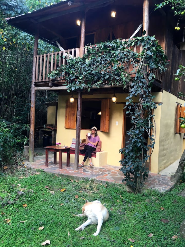 Quiet Hummingbird Cabin at Lush Oasis