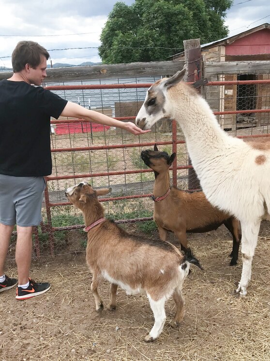 Mostrar imagem fornecida pelo anfitrião em ecrã inteiro