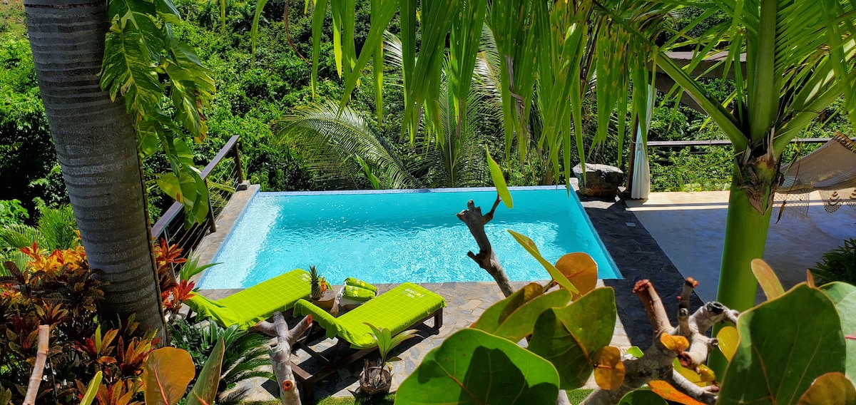 An inviting infinity pool is framed by lush tropical vegetation, with two bright green lounge chairs positioned beside it. The pool's crystal-clear water reflects the surrounding greenery, creating a serene outdoor oasis. Sunlight filters through the palm leaves, enhancing the tranquil setting.