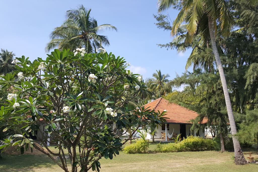 Villa 108 Palms Beach Resort, Salli - Sampalthivu village