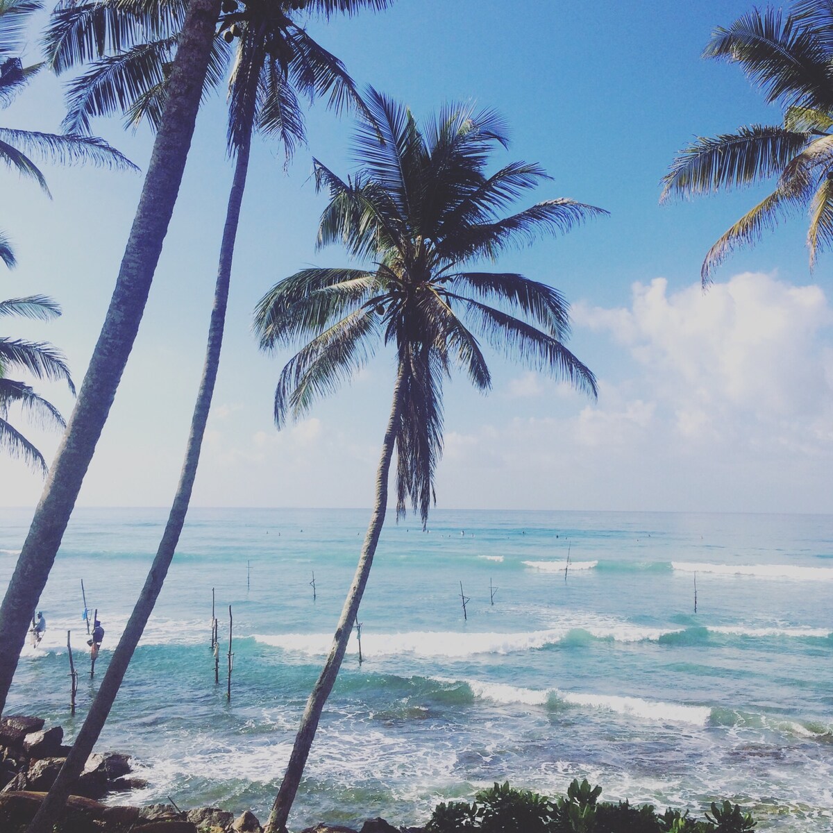 Tall palm trees frame a serene view of calm ocean waters. Gentle waves lap against the shore, with surfboards visible in the distance. A clear blue sky is dotted with wispy clouds, creating a peaceful coastal atmosphere.
