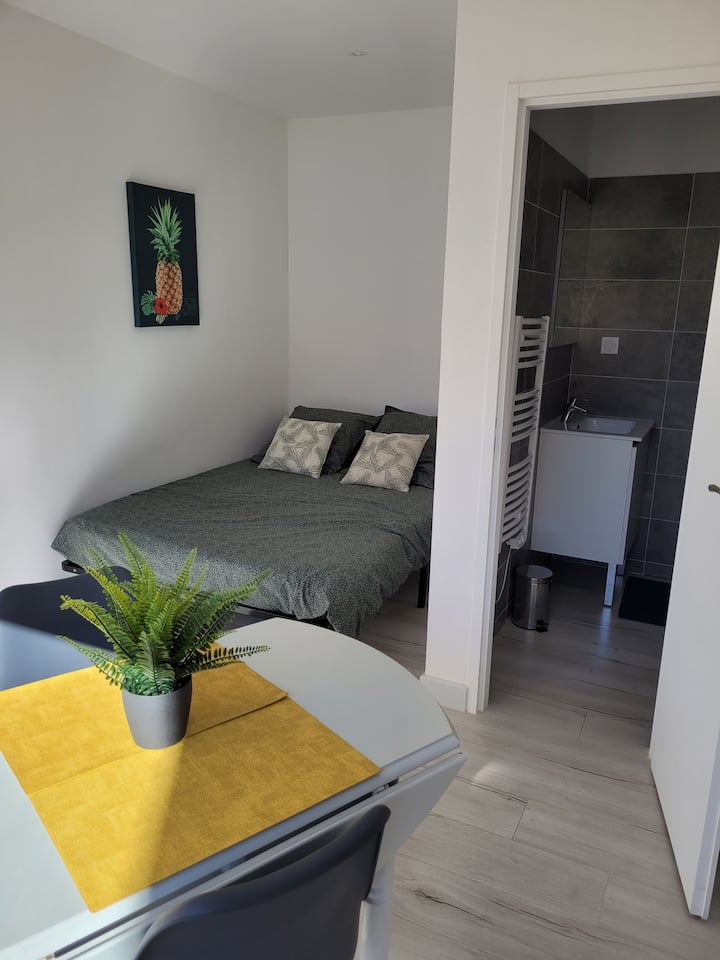 Studio Indépendant Avec Jardinet/climatisé - La Ciotat