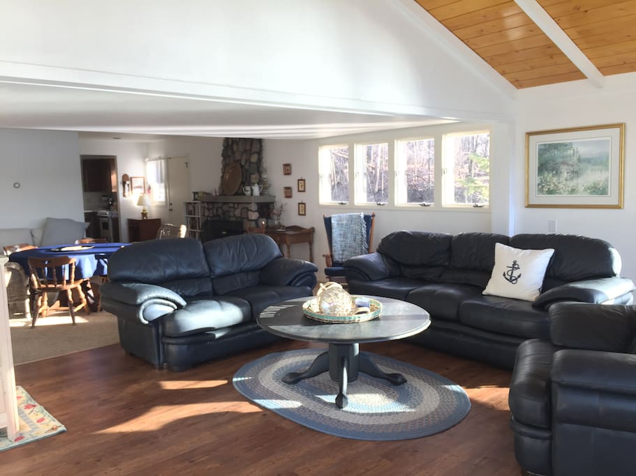 Seating for the whole family, including a sleeper sofa.