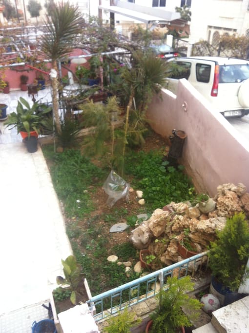 garden for the building