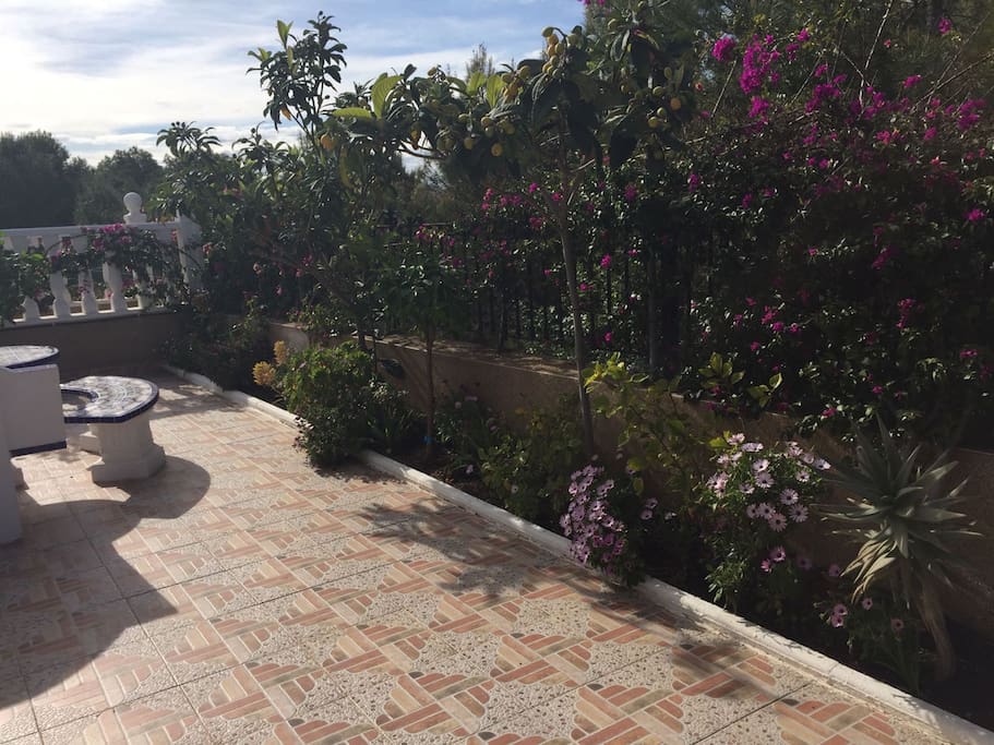 Garden