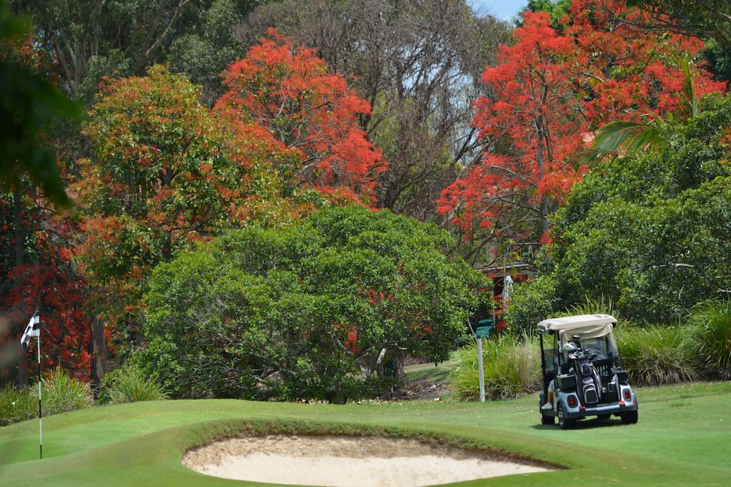 Golf Course on Hope Island