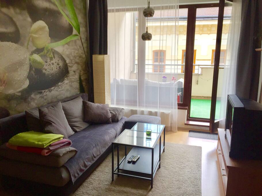 Living room and entrance to balcony