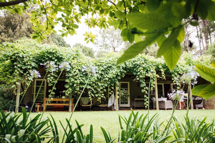 The Constantia Mist Cottage