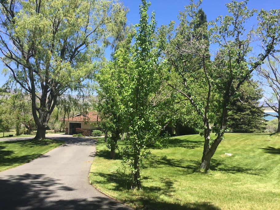 Driveway to the Mono Lake House