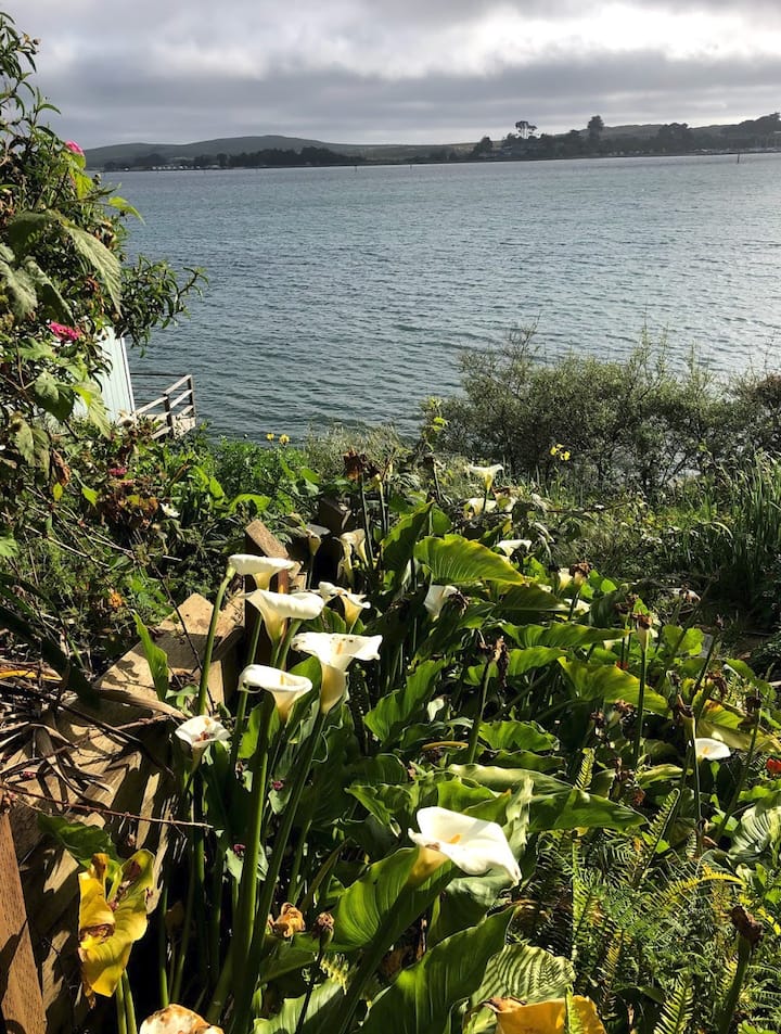 9 Best Airbnb Vacation Rentals In Bodega Bay, California Updated 2024 Trip101