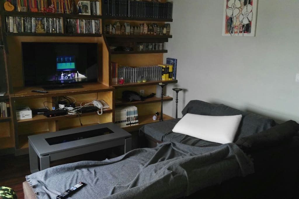 me gusta muchisimo la lectura y el cine. neftlix a disposicion de quien quiera y libros de arte historia y novelas tambien