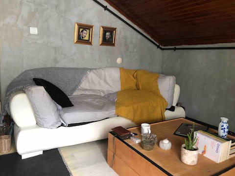 anadolu kavagi kiralik tatil evleri ve evler istanbul turkiye airbnb