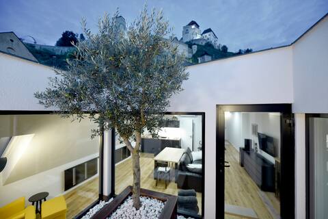 Apartment in historic center with atrium