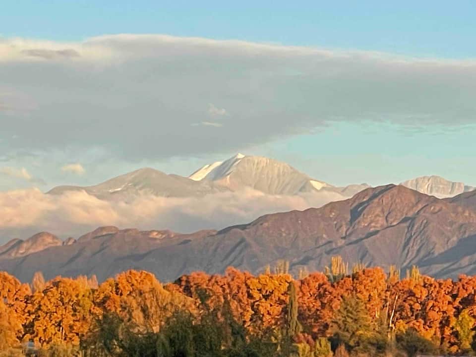 A house facing the Andes in Chacras de Coria, Chacras de Coria, Mendoza, Argentina, photo 8 of 10