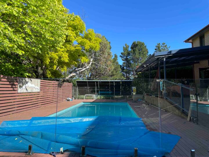 10 Best Pet & DogFriendly In Jindabyne, Australia