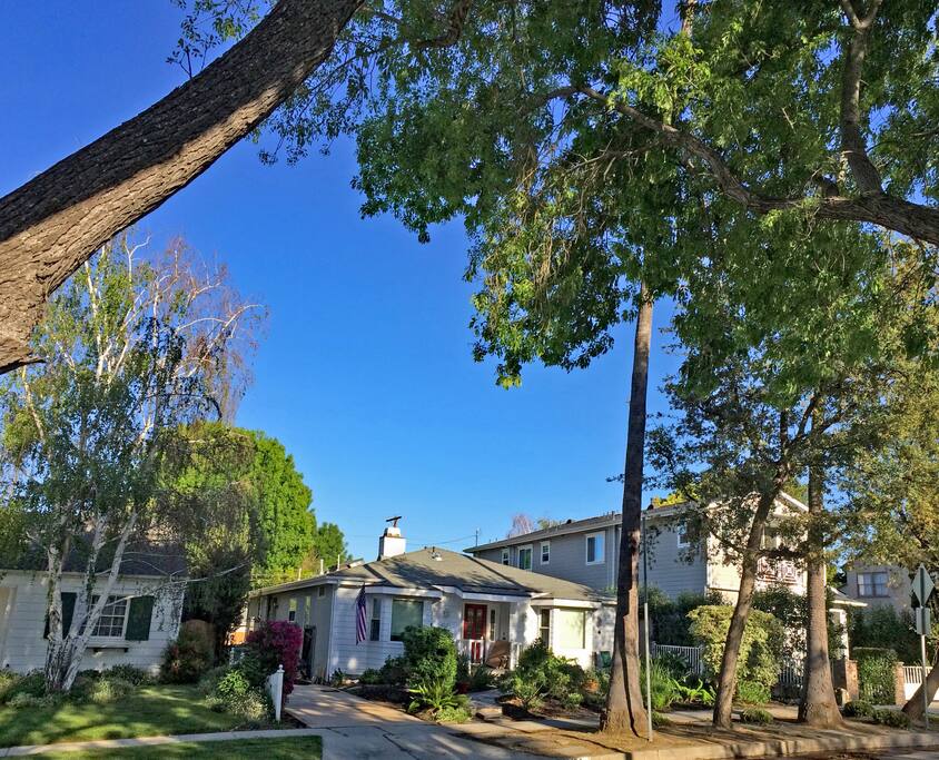 Lovely & quiet residential neighborhood