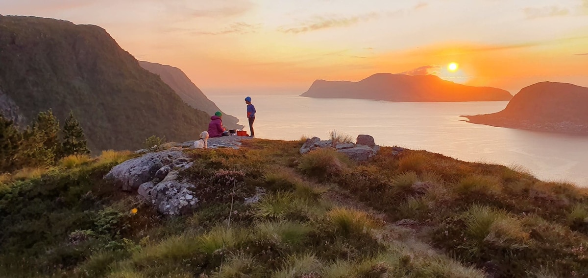 A scenic view captures individuals enjoying a quiet moment on a hillside, overlooking a bay at sunset. The landscape features rocky terrain adorned with grass and low shrubs, while the sun casts a warm glow on the distant mountains across the water.