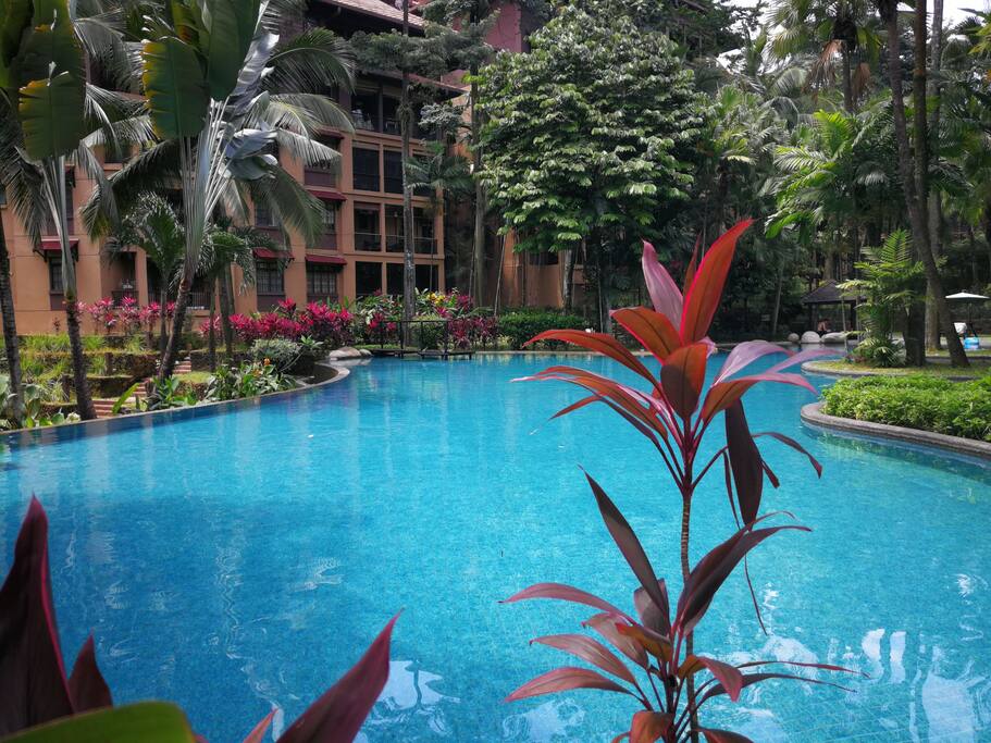 the pool