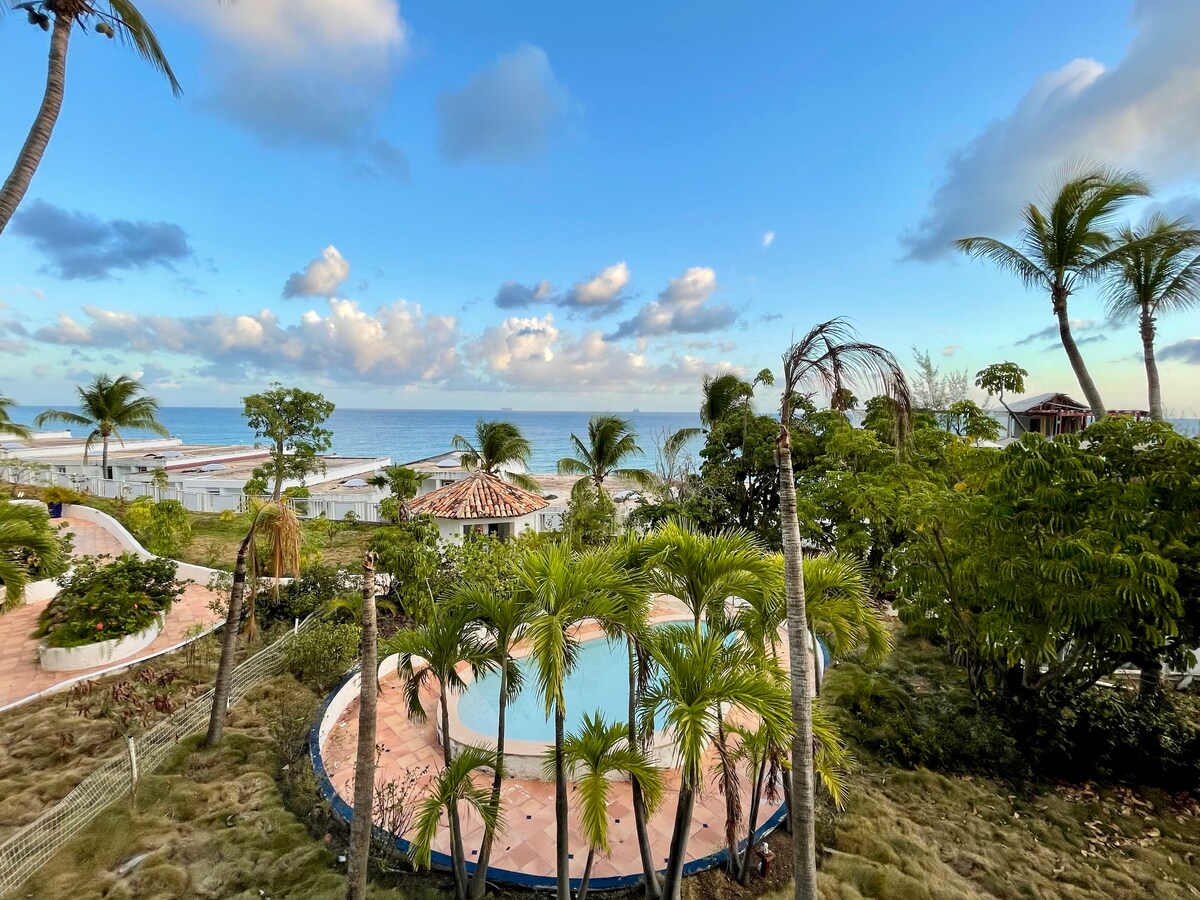 The image showcases a serene outdoor area with lush greenery and palm trees surrounding a circular pool. The landscape leads towards the beach, with the ocean visible in the background under a partly cloudy blue sky.