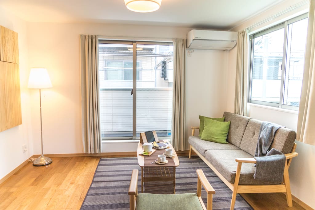 living room 寬敞的客廳