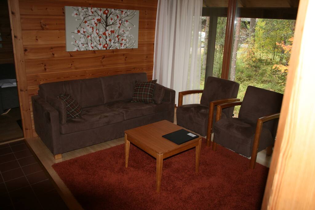 Oleskelutila, living room