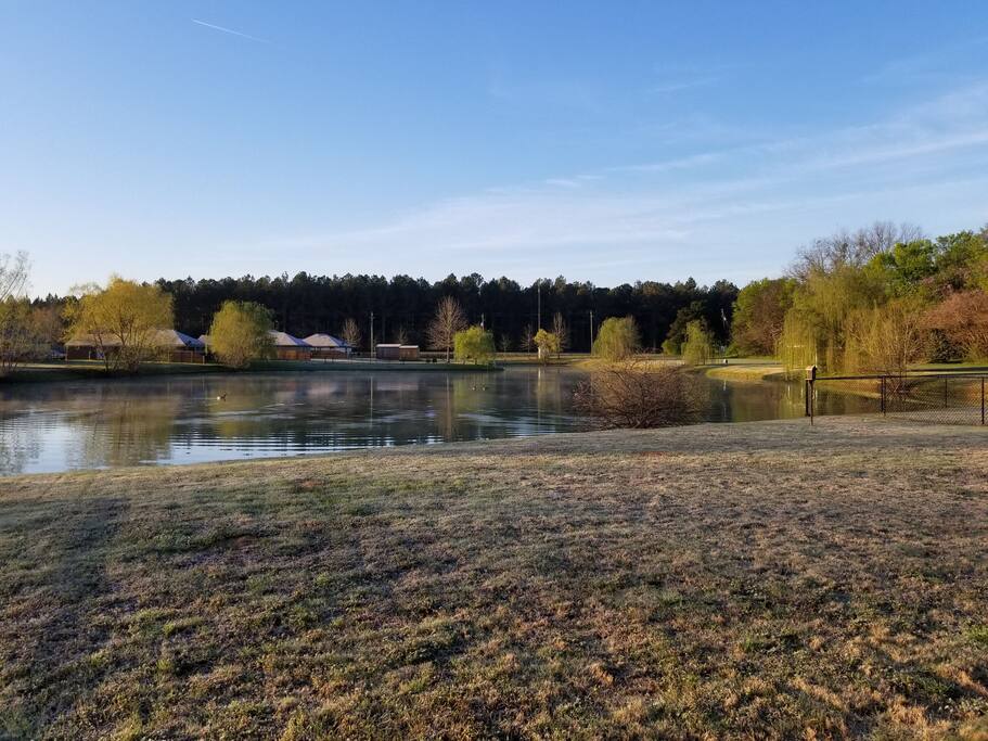 Yes, this is the backyard. You can see the common area to the right.