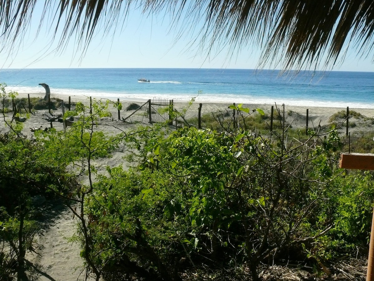 Vista desde tu terraza privada
