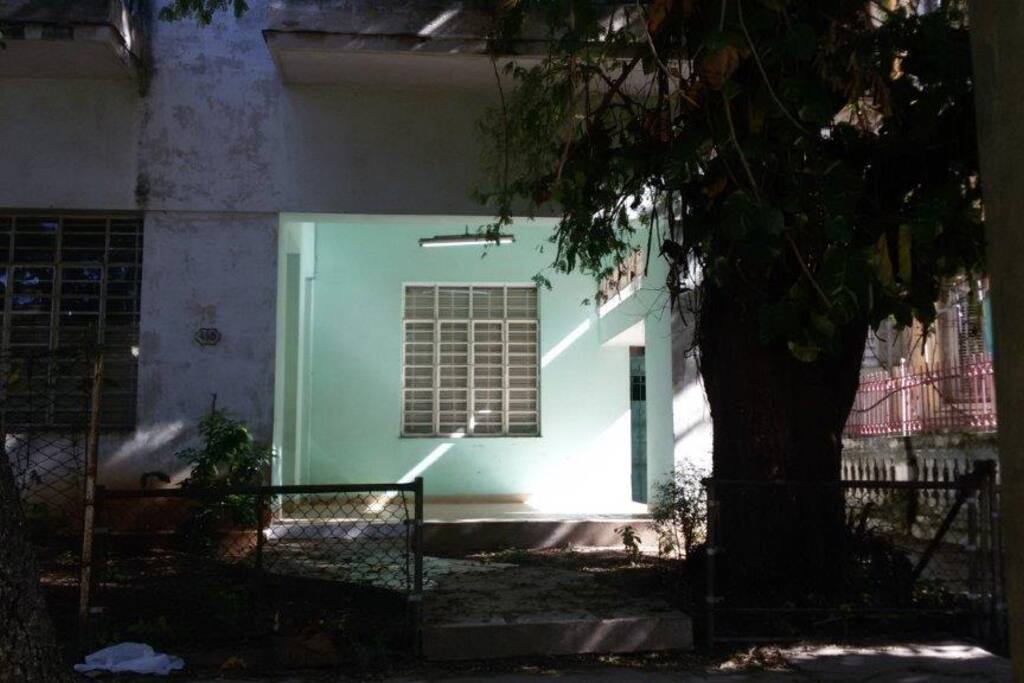 Otro angulo muy fresco con un arbol frondoso
