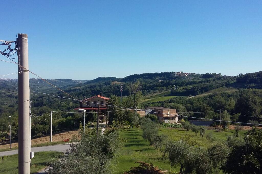 Gli ulivi