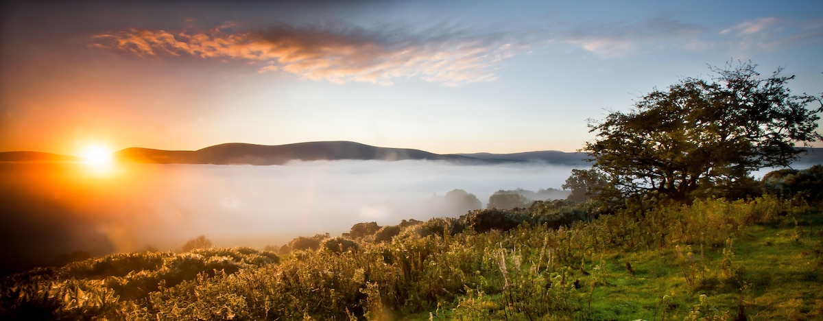 A serene landscape captures an early morning view, featuring rolling hills shrouded in mist. A soft orange glow from the rising sun illuminates the horizon, while lush greenery frames the scene, conveying a sense of peacefulness in the countryside.