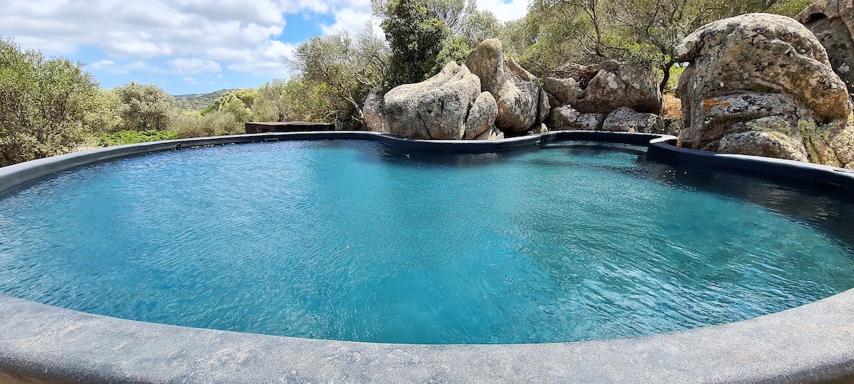 A private swimming pool features surrounded by natural rocks, reflecting a serene turquoise hue. The calming water invites relaxation, while lush Mediterranean vegetation frames the scene, enhancing the tranquil setting.