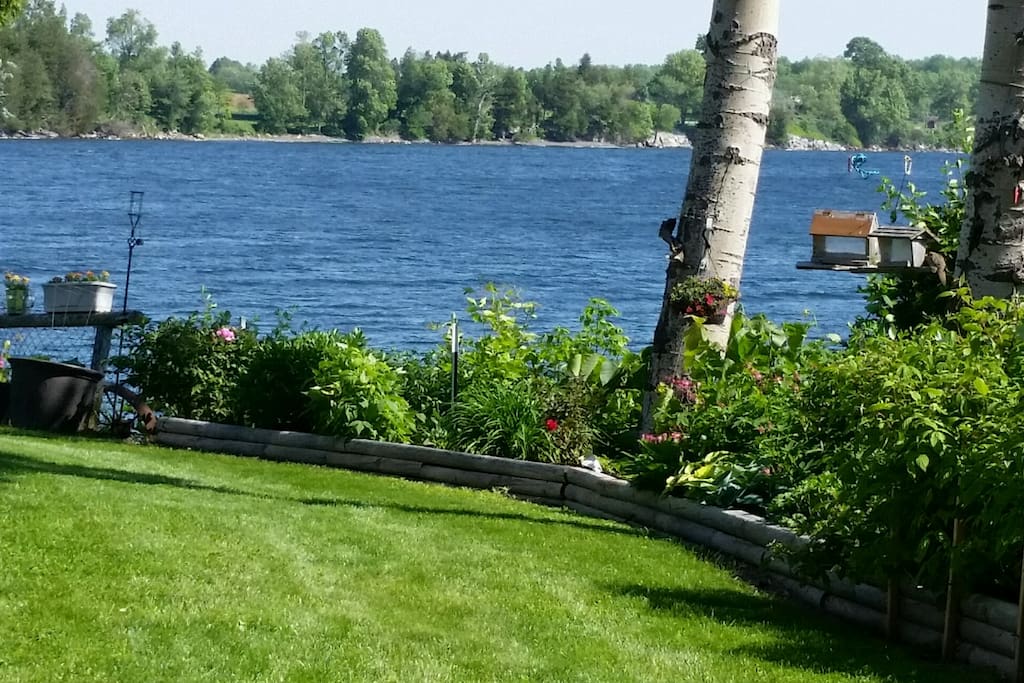 View from front lawn