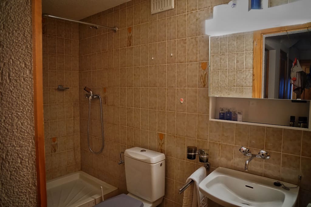 Private shower room with toilet for exclusive use for you.