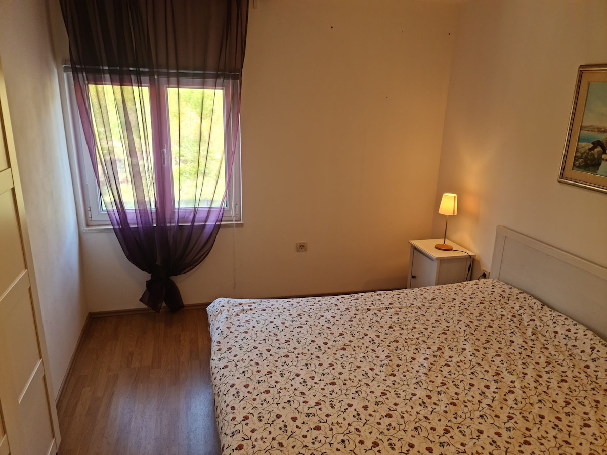 1A  · Comfort apartment with Vineyard view