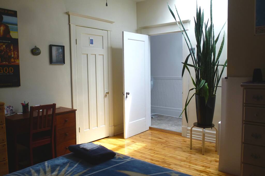 Angle #2 de la chambre où on peut voir le puits de lumière, le garde-robe et une plante!