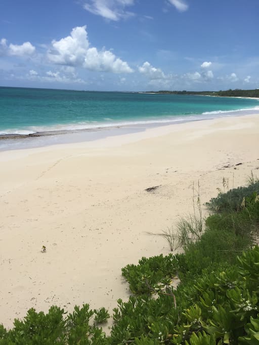 Beautiful Cayo Loco beach day!