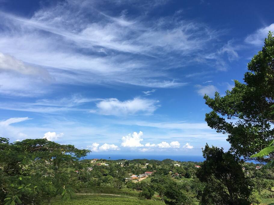 The best of both worlds- ocean and mountains